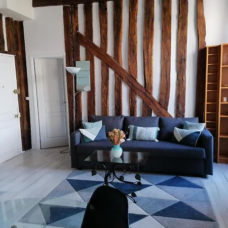 Apartmán Evasion Autour De Poutres Et Pierres Plein Centre Orléans Exteriér fotografie